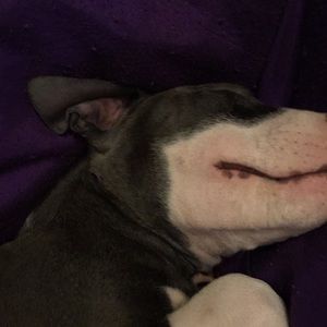 Meet your Posher, Sierra